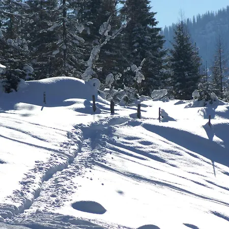 Daire Sonneck Mühlbach am Hochkönig