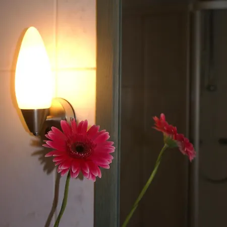 Sonneck Appartement *