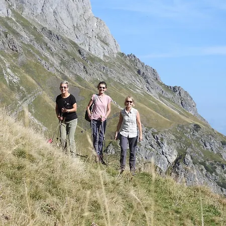Sonneck Mühlbach am Hochkönig