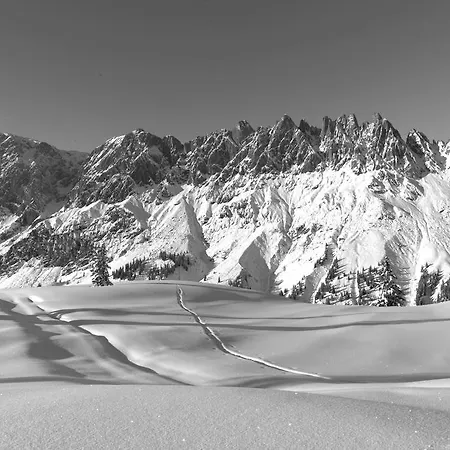 Sonneck アパート *