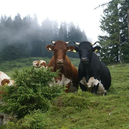 Sonneck Muhlbach Am Hochkonig