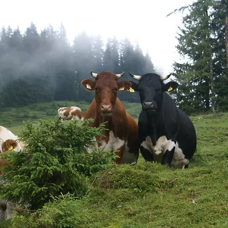 Sonneck Mühlbach am Hochkönig