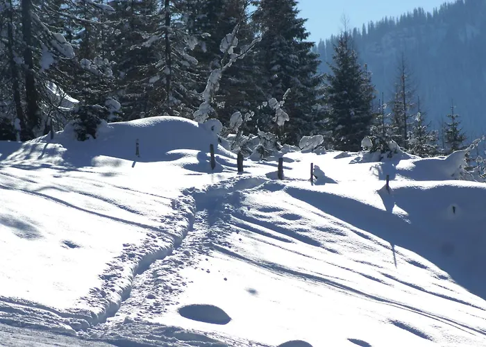 Apartament Sonneck Mühlbach am Hochkönig