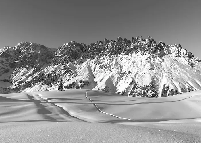 Sonneck Apartament *